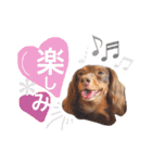 COCOMOCHA（個別スタンプ：11）