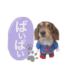 COCOMOCHA（個別スタンプ：13）