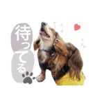 COCOMOCHA（個別スタンプ：15）