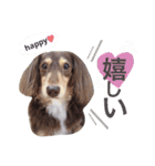 COCOMOCHA（個別スタンプ：18）