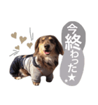 COCOMOCHA（個別スタンプ：19）