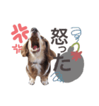 COCOMOCHA（個別スタンプ：21）