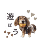 COCOMOCHA（個別スタンプ：22）