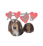 COCOMOCHA（個別スタンプ：23）
