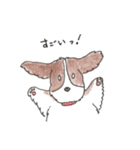 我が愛すべきあほ犬（個別スタンプ：1）