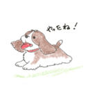 我が愛すべきあほ犬（個別スタンプ：2）
