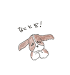 我が愛すべきあほ犬（個別スタンプ：3）