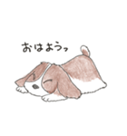 我が愛すべきあほ犬（個別スタンプ：9）