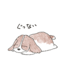 我が愛すべきあほ犬（個別スタンプ：10）