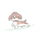 我が愛すべきあほ犬（個別スタンプ：12）
