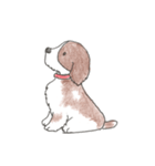 我が愛すべきあほ犬（個別スタンプ：13）