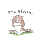 我が愛すべきあほ犬（個別スタンプ：15）