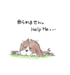 我が愛すべきあほ犬（個別スタンプ：16）