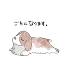 我が愛すべきあほ犬（個別スタンプ：19）