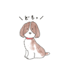 我が愛すべきあほ犬（個別スタンプ：35）