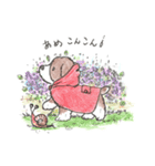 我が愛すべきあほ犬（個別スタンプ：37）