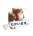 とまスタンプ1（個別スタンプ：7）