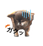 とまスタンプ1（個別スタンプ：8）