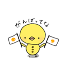 ひよこの適度な関西弁（個別スタンプ：20）