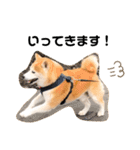 柴犬チロの1日（個別スタンプ：14）