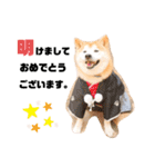 柴犬チロの1日（個別スタンプ：15）