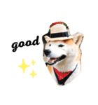 柴犬チロの1日（個別スタンプ：18）