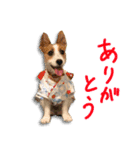 天真爛漫ルアナちゃん（個別スタンプ：1）