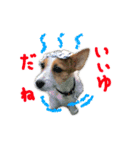 天真爛漫ルアナちゃん（個別スタンプ：3）