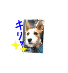 天真爛漫ルアナちゃん（個別スタンプ：4）