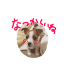 天真爛漫ルアナちゃん（個別スタンプ：11）