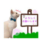 仲良し兄弟の1日♡2（個別スタンプ：5）