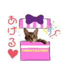 仲良し兄弟の1日♡2（個別スタンプ：6）