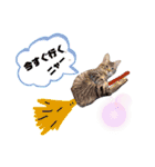 仲良し兄弟の1日♡2（個別スタンプ：8）