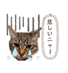 仲良し兄弟の1日♡2（個別スタンプ：9）