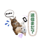 仲良し兄弟の1日♡2（個別スタンプ：13）