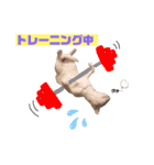 仲良し兄弟の1日♡2（個別スタンプ：14）