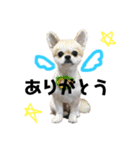 コカです（個別スタンプ：7）