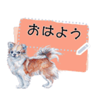 Cuteness of dogs（個別スタンプ：4）