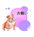 Cuteness of dogs（個別スタンプ：10）