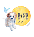 Cuteness of dogs（個別スタンプ：16）