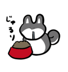 WOLF SHIBA〜日常にポンッと柴犬〜（個別スタンプ：19）