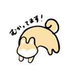 WOLF SHIBA〜日常にポンッと柴犬〜（個別スタンプ：21）