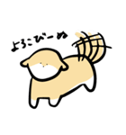 WOLF SHIBA〜日常にポンッと柴犬〜（個別スタンプ：23）