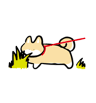 WOLF SHIBA〜日常にポンッと柴犬〜（個別スタンプ：24）