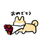 WOLF SHIBA〜日常にポンッと柴犬〜（個別スタンプ：40）