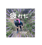 たんぽっぽ〜（個別スタンプ：5）