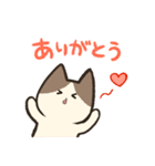 も〜っと！ちゃーちゃんです！（個別スタンプ：1）