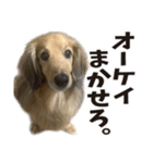 すえぞうの日常（個別スタンプ：3）