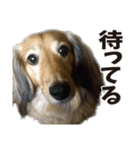 すえぞうの日常（個別スタンプ：4）