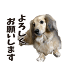 すえぞうの日常（個別スタンプ：5）